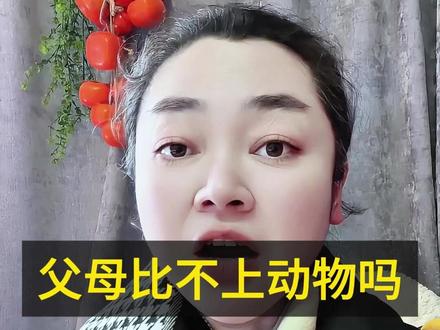 父母比不上动物吗@传统文化#人生感悟#情感#因果#孩子
