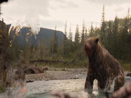 脾气暴躁的棕熊,在幼崽面前也能尽显温柔的一面 #棕熊 #野生动物 #动物世界 #动物纪录片 #巨兽