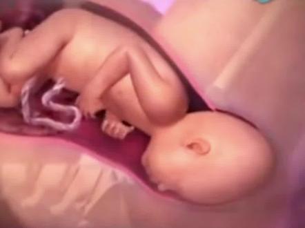 #怀孕 37周和40周出生的宝宝有什么区别?#胎宝宝 #接一切好孕 #十月怀胎 #一个身体两个心跳