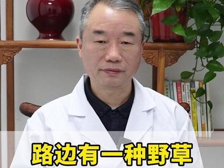 路边有一种野草,既能补肾又能补阳 #中医内科 #调理身体 #中医科普 #中医庞海江