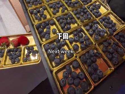 必抢‼️牛牛寿喜烧两个人才300多!!还是双人豪华海鲜版,再不吃就涨价啦#牛new寿喜烧 #心动榜餐厅 #寿喜烧 #寿喜烧自助 #牛new