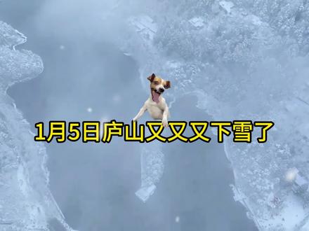 1月5日庐山又又又下雪了,快来赏雪!#庐山下雪啦 #雾凇 #江西降温 #江西风景独好