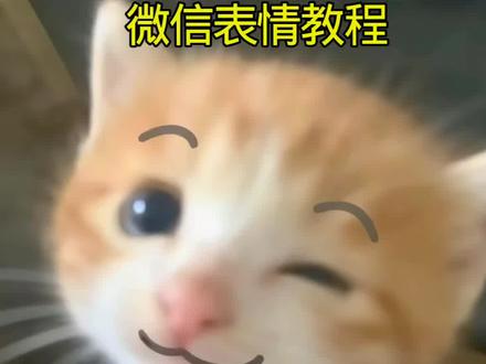 死对头小猫表情包获取教程来了,#剪映 #小猫表情包#微信表情包#微信表情包制作#微信表情包小猫表情包模板教程 小猫在微信怎么搜,死对头小猫微信怎么搜,takeru猫表情包微信关键词,死对头表情包叫什么,死对头小猫微信搜图教程,死对头小猫微信原图,死对头小猫微信表情包,死对头表情包叫什么名字小猫微信名推荐,死对头猫meme表情包,死对头小猫微信壁纸,小猫死对头表情包原图,死对头表情包小猫微信上怎么获得,死对头小猫微信搜索方法,死对头小猫无水印原图,小猫死对头图片,死对头小猫微信表情包