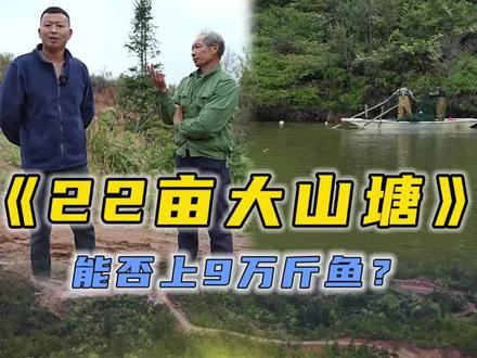 22亩大山塘,里面是否能有9万斤鱼货?#三农 #新农人计划2023 #乡村守护人