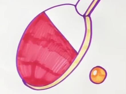 #简笔画 乒乓球拍 乒乓球