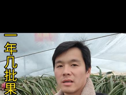 #火龙果 #火龙果种植 #三农 #新农人计划 #红心火龙果
火龙果一年结几次果