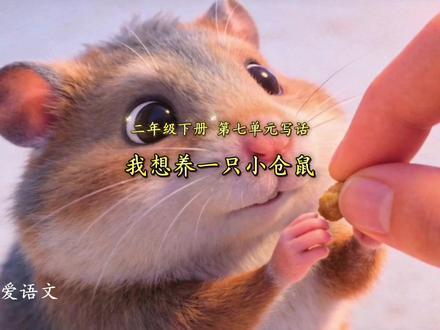 二年级语文下册|第七单元|写话|我想养小动物范文#二年级 #二年级语文下册#写话范文#作文#我想养小动物