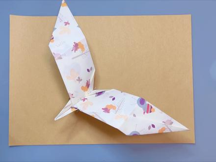 逼真的动物纸飞机:雕鹰!拥有和雄鹰一样强有力的尖锐的喙 #纸飞机 #折纸教程 #折纸玩具 #萌知计划