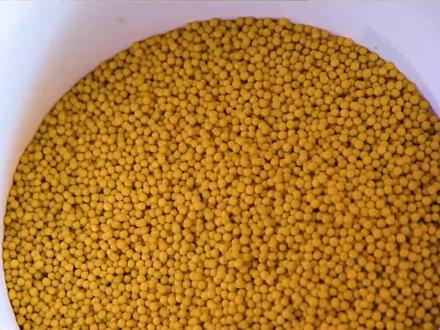 #石泉豆豉 "筛选好的黄豆放入清水,要反复揉搓"