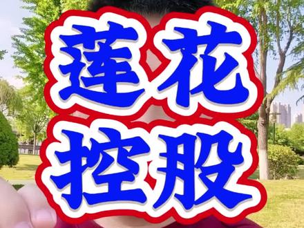 莲花控股华丽转型 味精+算力充满想象力