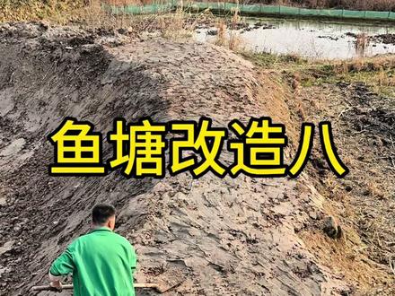 继续改造村里荒废的水塘养鱼,#鱼塘改造