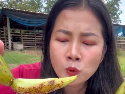 这里位于泰国,当地人正在吃牛角果,看着他们酸爽的表情,感觉这种果子应该还挺好吃。#科普 #涨知识 #泰国