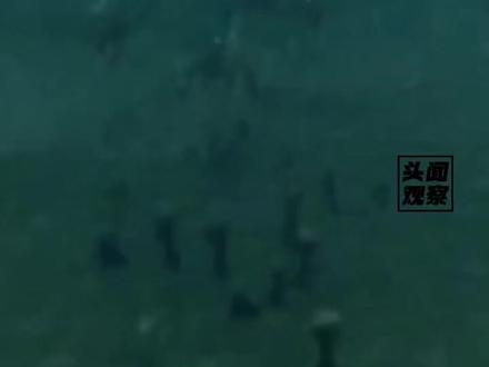 很多人在问:为什么美国,很难真正“控制” 霍尔木兹海峡,但伊朗却有能力让它瘫痪?
答案其实很简单:破坏通航远比保护通航容易!#霍尔木兹海峡