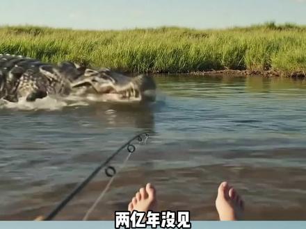 游戏圈快报!你鳄鱼叔叔又美美隐身了,躲过了无数次赛季更新#地球online#游戏#玩梗#鳄鱼