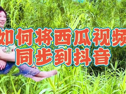 有朋友问我,如何将西瓜视频同步到抖音,现在这里做回答