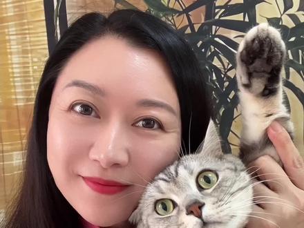 猫上供台,神明不怪 #猫咪