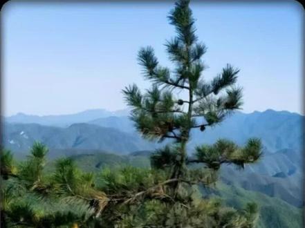 三上熊家岭|第一集 #这是个真实的事情 #法制教育 #打击违法犯罪 #大案要案纪实故事