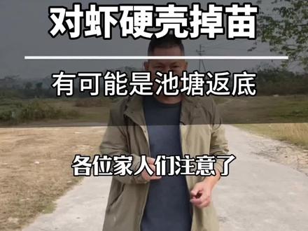 硬壳掉苗,有可能是池塘出现了返底 注意:硬壳掉苗查不出病因的,往往是池底毒素上涌!#水产养殖 #对虾养殖 #小棚养虾