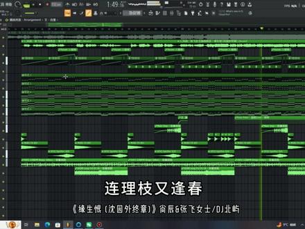 沈园外终于迎来了她的终章《缘生恨》 #沈园外 #沈园外dj #缘生恨 #歌曲缘生恨 #dj