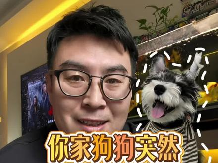 6-8个月的狗狗不爱吃饭的几个原因?
#狗狗 #萌宠出道计划 #宠物知识 #新手养宠 #宠物
