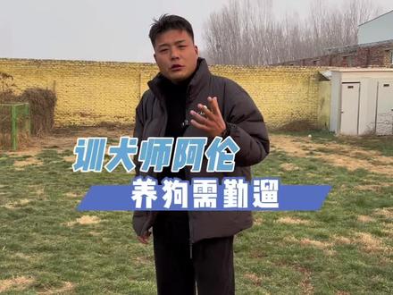 狗狗一出笼子兴奋度太高了一样,怎么办?#狗狗 #宠物训练 #训犬教程 #训狗经验分享 #训犬学校
