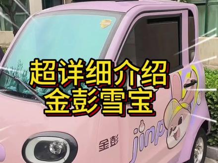 金彭雪宝
超详细介绍
如有遗漏
欢迎补充……#电动三轮车