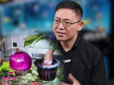 听我一句劝,养鱼千万别往缸里扔这4样食物,我怕你水质透亮到刺眼,鱼儿状态猛到爆缸!#养鱼 #养鱼人 #养鱼新手