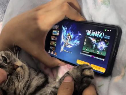 #宠物日常 富贵儿一点儿也不想帮你抽🤪#谁还没个隐藏技能 还三个金#忍者必须死3