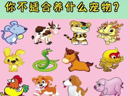 你知道你不适合养哪些宠物吗?#十二生肖