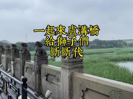 一起来卢沟桥为这里的狮子断断代#历史遗迹#历史建筑#古石桥#古建筑 #石狮子