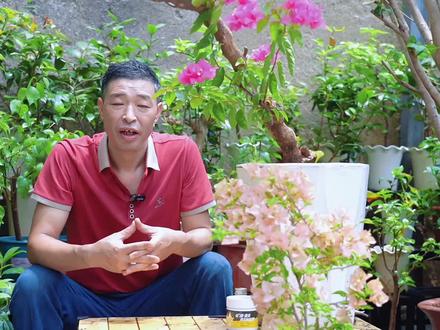 下雨水到底是酸的还是碱性的? #养花小知识 #爱生活爱养花