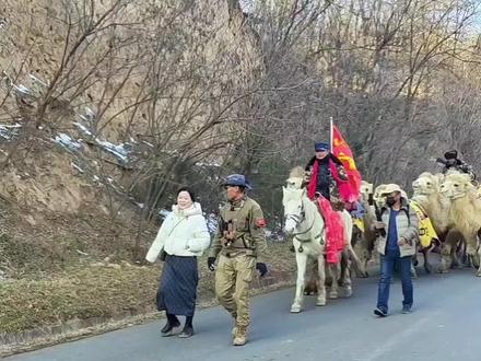 东天山骆驼队来到了陕西咸阳淳化县,重走丝绸之路,弘扬丝路精神!#快来围观 也来凑热闹我的手机随拍分享!