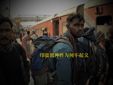 印度低种姓为何在历史上不起义掀翻婆罗门?#每天跟我涨知识 #知识科普 #历史 #印度