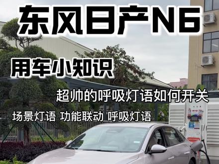 东风日产N6(用车小知识)超帅的呼吸灯语如何设置!灯光功能联动 呼吸灯语 场景灯语开关!家人们赶紧给你们的爱车也安排上!#东风日产n6 #日产n6 #东风日产 #日产