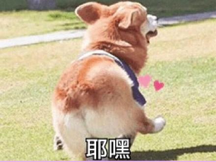 汽水音乐 听歌还能攒金币 #汽水音乐#听歌#音乐#听歌神器#听歌赚金币