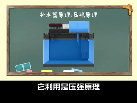 过年回家鱼缸没人照料怎么办? 搓神又来给大家分享好物了😀#过年 #小米鱼缸 #小米鱼缸改造 #补水器 #搓神大叔