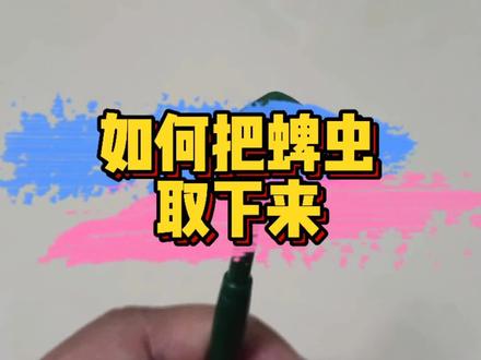 不知道为啥被认为是不适宜公开。取蜱虫正确方法。