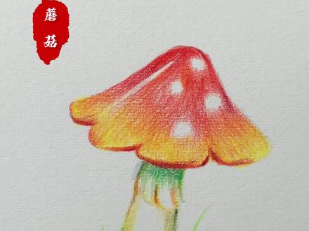 第12集丨像这样的蘑菇你会画吗?快去试试吧!#画画 #手绘 #彩铅 #绘画 #彩铅教程