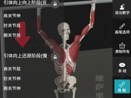 每天认识一个邪修APP,第46期
今天要分享的是:维萨里 3D 解剖
这是一个把整个人体拆开给你看、还可以随意旋转观察的 3D 解剖学习APP,它最震撼的地方,是它的完整三维人体模型,而不是几张平面解剖图拼一拼 #解剖学 #解剖与生活 #手机应用 #手机APP #软件推荐