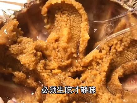 大连人最爱的海胆 怎么也吃不够!#浪计划 #我和我的家乡美食 #我的生活日记 @抖音美食
