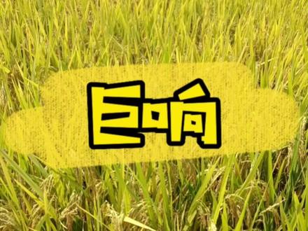 #湖南株洲 #同城发现 #故事 #科普 株洲天空出现巨响的三种原因,究竟是哪种呢?