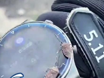 武功山景区出现大量“臭屁虫”,游客称“爬完山 感觉浑身臭臭的”,景区:季节性爆发,一直在定期消杀