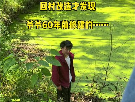 记录爆改70年代超大池塘全过程,看完神级操作让爷爷手工打造的塘50天变身逆袭#创造灵感 #小院改造 #新农人计划2026 #老房改造 #回乡一朱