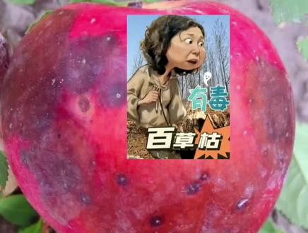 烂掉的果子早晚掉下来!