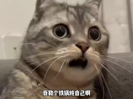 我勒个铁锅炖自己啊#安徽#澡锅 #娱乐评论大赏