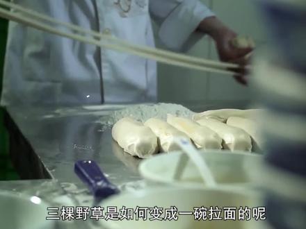 小麦的一生,它如何从野草变成小麦,再变成一碗拉面的全过程。 #小麦 #种植 #拉面 #面粉 #美食