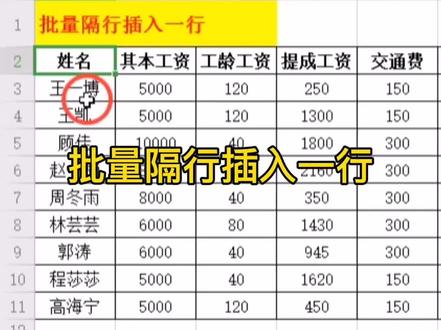 批量隔行插入一行
#wps #每天学习一点点