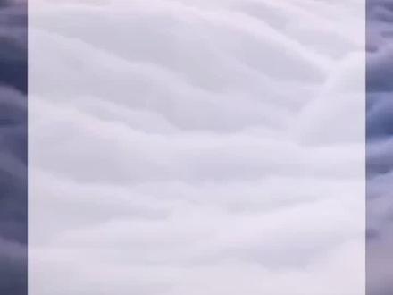 直播界的荣耀王者#张庭 #林瑞阳 #薇娅