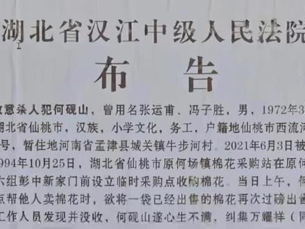 湖北仙桃何砚山,群殴他人致死,在2024年2月1日被以注射的方式执行死刑。