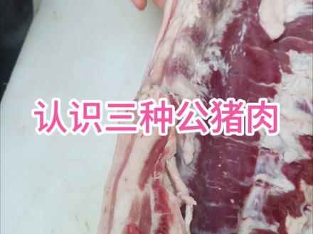 认识一下三种公猪肉#猪肉 #左手刀鹏哥 #美食 #每天跟我涨知识 #公猪